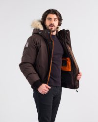 OSC Desna (chestnut) OSC Urban Desna